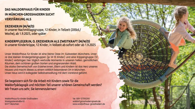 250317 Stellenanzeige digital 768x431