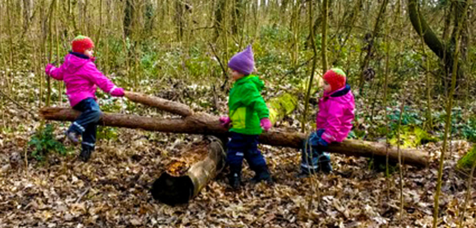 Wald-Waldorfkindergarten