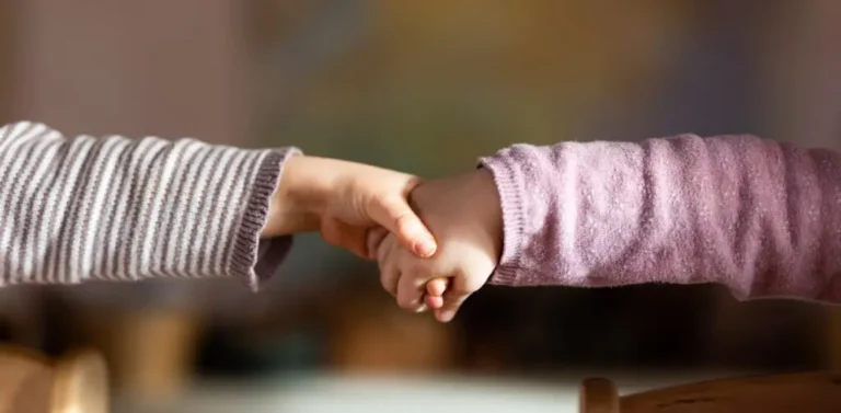 waldorf bamberg 86 1 1024x502 1 768x377