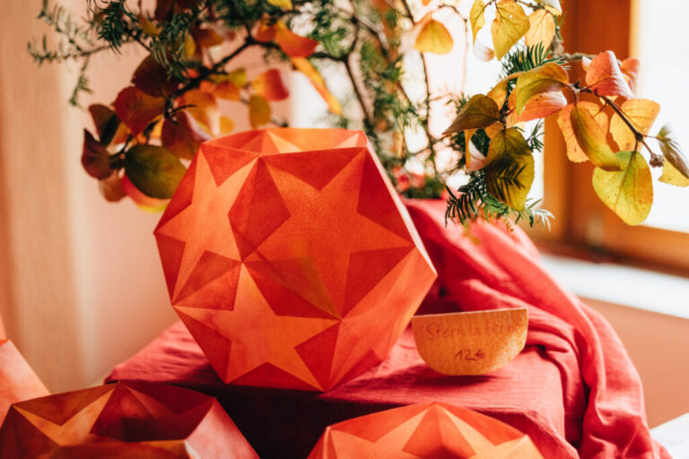 9G3A7106 1024x683 1 768x512